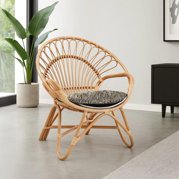 Garden Cane Chair-Luxury Chair
